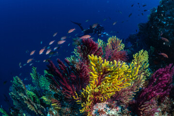  into the clear water of the Mediterranean Sea