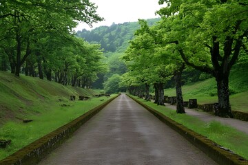 Pathway Through Green Forest with Stone Walls