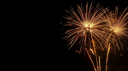 Fototapeta premium Fireworks Display: Fireworks lighting up the night sky, celebrating the holiday, Labor Day, with copy space