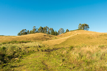 Campos de cima da Serra, Gaucho Highlands, Countryside of Sao Francisco de Paula (South of Brazil)