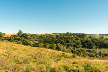 Fototapeta premium Campos de cima da Serra, Gaucho Highlands, Countryside of Sao Francisco de Paula (South of Brazil)