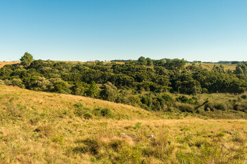 Fototapeta premium Campos de cima da Serra, Gaucho Highlands, Countryside of Sao Francisco de Paula (South of Brazil)