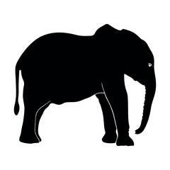 Elephant Silhouette vector. Silhouette of elephants. Elephant shadow hand drawn. Animal Elephant Silhouettes vector illustration.