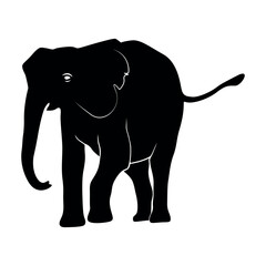 Elephant Silhouette vector. Silhouette of elephants. Elephant shadow hand drawn. Animal Elephant Silhouettes vector illustration.