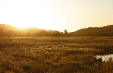 A beautiful amber gold landscape photo in the summer time.  Golden fields of a sunset.