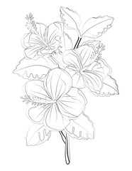  Floral pattern for coloring book. Flower coloring book Page. Vector black and white coloring page for colouring book. Leafs and flowers in monocrome colors. adult coloring book. Adult book