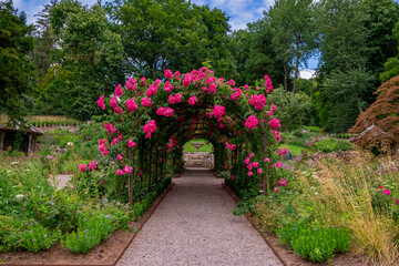 Fototapete bei efototapeten.de bestellen   