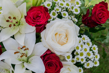   Photo of growing   flowers in the garden
