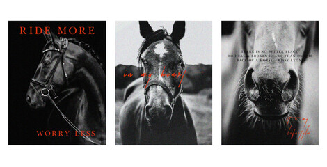 Poster horses