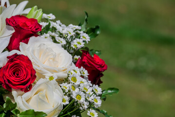    Photo of growing   flowers in the garden