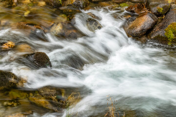 Obraz premium Flowing river water over rocks in a forest stream, creating a sense of motion and serenity