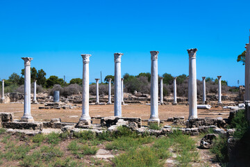 Fototapeta premium Ancient City of Salamis, Cyprus. Historical ruins, temple remains and architectural columns. 