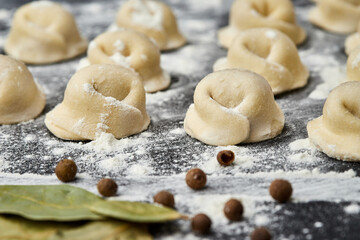 Handmade Ukrainian meat dumplings, ready for cooking, traditional varenyky with meat filling