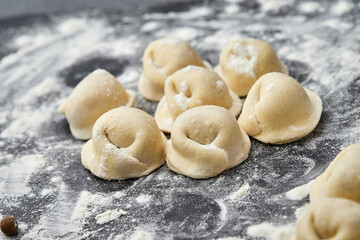 Homemade meat dumplings ready for cooking, a classic dish perfect for hearty family meals