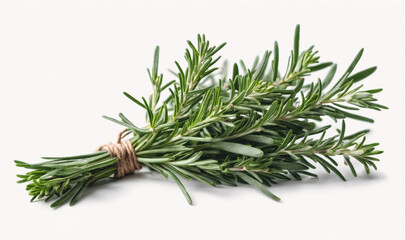 A bunch of fresh rosemary is tied together with twine