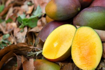 Fotos de Manga diretamente da fazenda