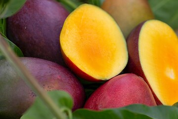 Fotos de Manga diretamente da fazenda