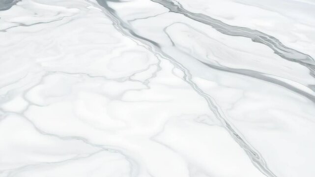 Elegant white marble stone showcasing intricate veining patterns in natural light