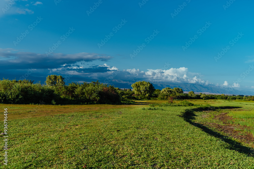 Poster Mountain landscape with green meadow