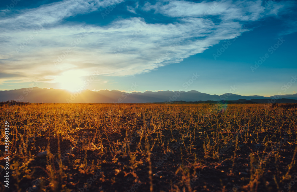 Wall mural Beautiful sunset over mountains on summer day