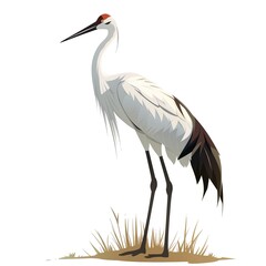 Obraz premium Crane Wood element animal cartoon isolated whitebackground 16:9