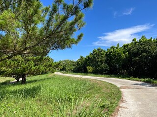 path in the park okinawa iheya Island nentouhihamatu