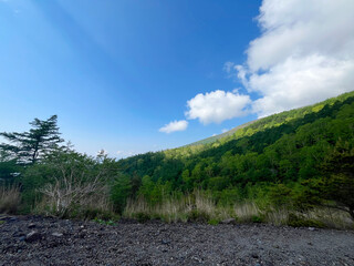 登山道から見る山の景色