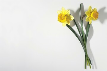 Spring-themed background featuring vibrant flowers on a calming blue backdrop.. Beautiful simple AI generated image