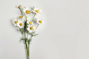 Obraz premium Spring-themed background featuring vibrant flowers on a calming blue backdrop.. Beautiful simple AI generated image