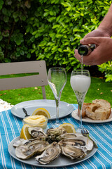 Fresh french oysters molluscs from Arcachon bay served on oysters farm in Gujan-Mestras, with lemon, baquette bread, butter and champagne dry wine