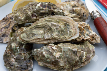 Plate with fresh live oysters with citron, bread, butter and white wine served at restaurant in oyster-farming village, Arcachon bay, Gujan-Mestras port, France