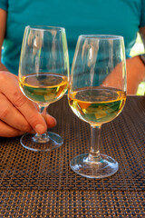 Tasting of Bordeaux white wine in Sauternes, left bank of Gironde Estuary, France. Glasses of white sweet French wine served in restaurant