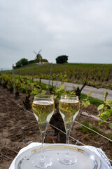 Tasting of brut champagne sparkling wine outdoor with view on pinot noir gran cru vineyards of famous champagne houses in Montagne de Reims by Verzenay, Champagne, France