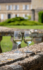 Glasses of white wine in old wine domain on Sauternes vineyards in Barsac village and old castle on background, Bordeaux, France