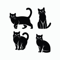British Shorthair silhouette vector template cat illustration