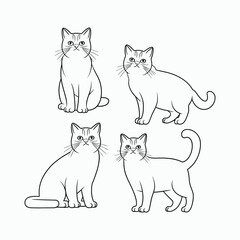 British Shorthair silhouette vector template cat illustration