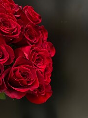 red roses