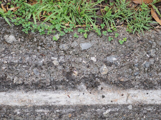Scuff marks on the asphalt road from an accident