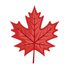 Simple red maple leaf icon with detailed veins