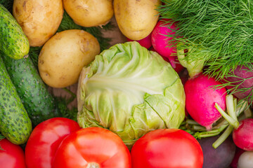 Vegetables as a background. Cabbage, cucumbers, radishes, tomatoes, dill, potatoes
