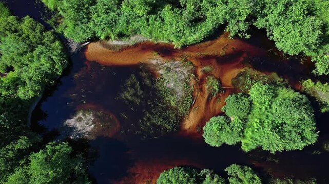Brown curvy river calm brook or creek with water weeds and greenery surroundings, aerial top down view. Algonquin near area, Ontario, Canada, North America. Natural phenomenon.