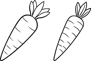 carrot vector illustration on white background 