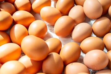 Fruits at the market display stall