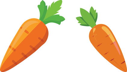 carrot vector illustration on white background 