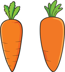 carrot vector illustration on white background 