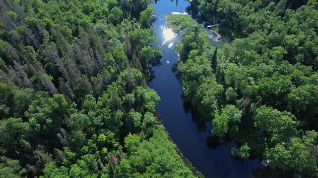 Grassy swampy creek river with calm like mirror water. Stream is reflecting sun leaks, trees shadows and sky. Relaxing aerial nature. Suburbs of Halifax, Nova Scotia, Canada. Beautiful natural scenery
