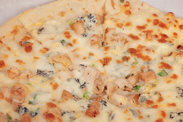 Pizza with chicken and cheese as background macro photo