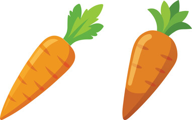 carrot vector illustration on white background 