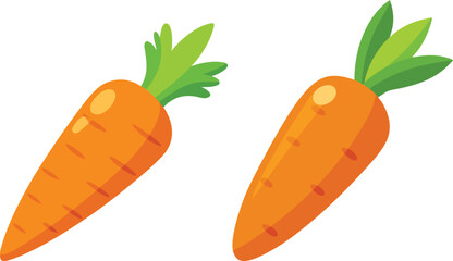 carrot vector illustration on white background 