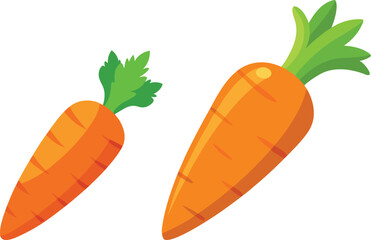 carrot vector illustration on white background 